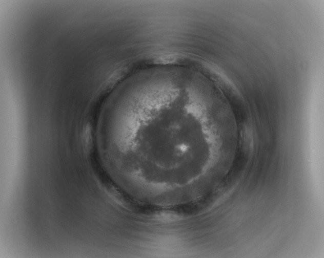 X0000113370598200909151401