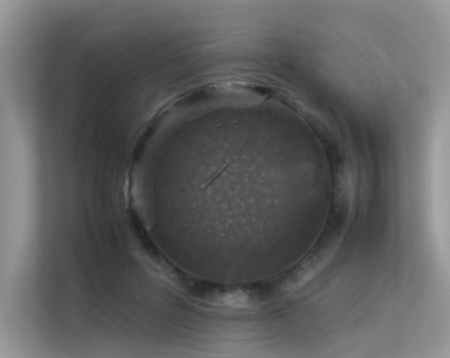 X0000113370600200909151401