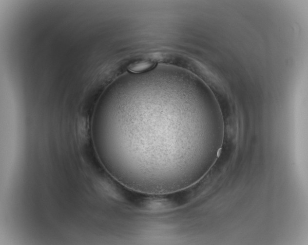 X0000113370605200909151401