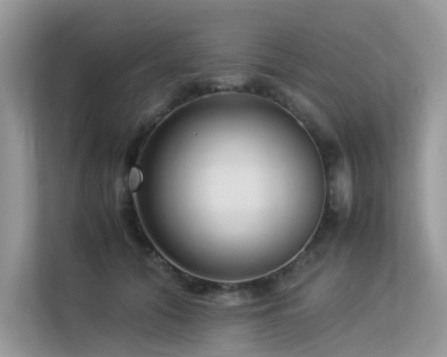 X0000113370608200909151401