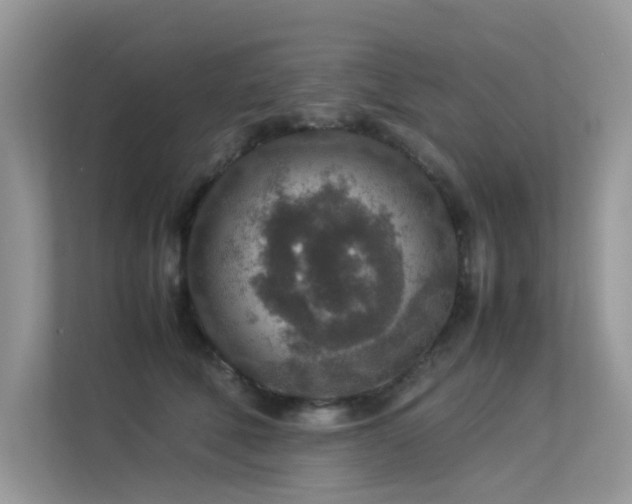 X0000113370610200909151401