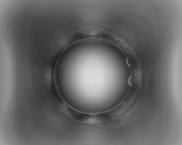 X0000113370612200909151401
