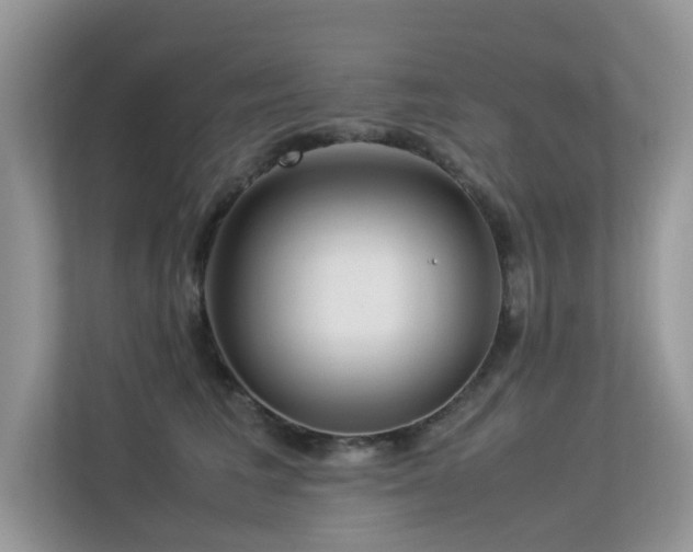 X0000113370613200909151401