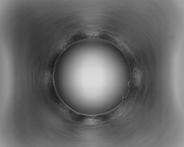 X0000113370614200909151401