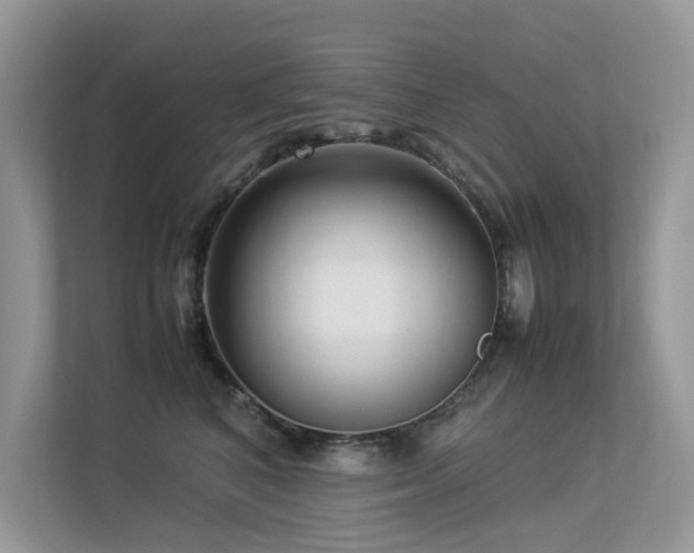 X0000113370616200909151401