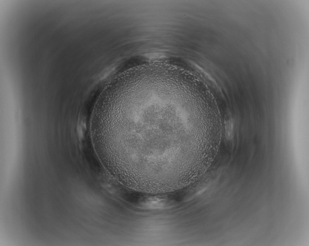 X0000113370618200909151401