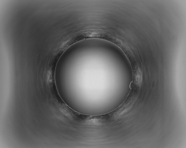 X0000113370620200909151401