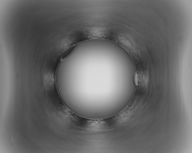 X0000113370621200909151401