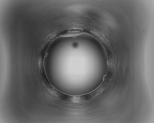 X0000113370623200909151401