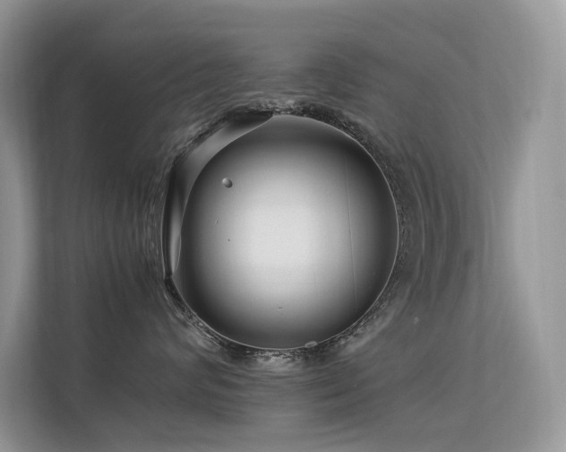 X0000113370624200909151401