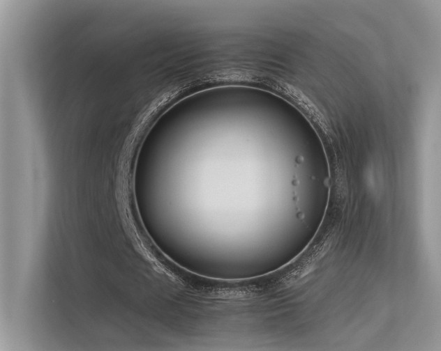 X0000113370625200909151400