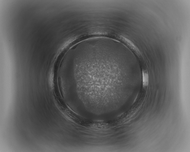 X0000113370627200909151400