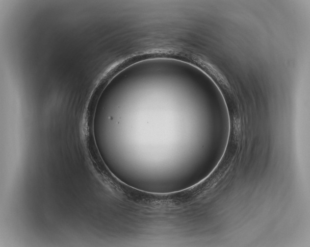 X0000113370628200909151400