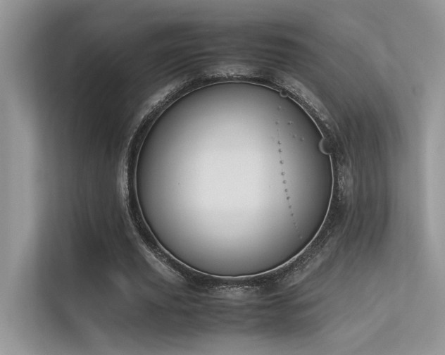 X0000113370629200909151400