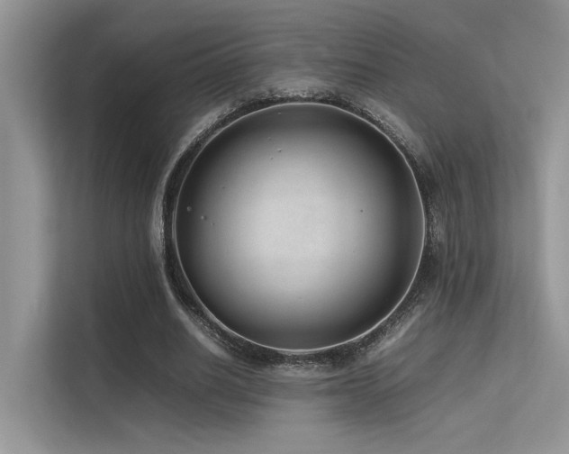 X0000113370630200909151400