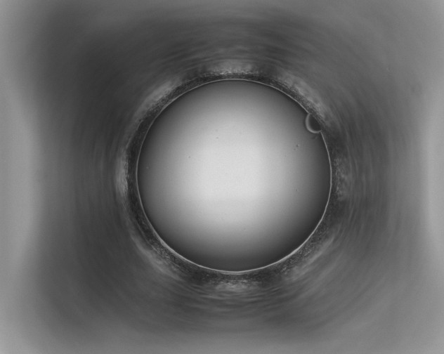 X0000113370631200909151400