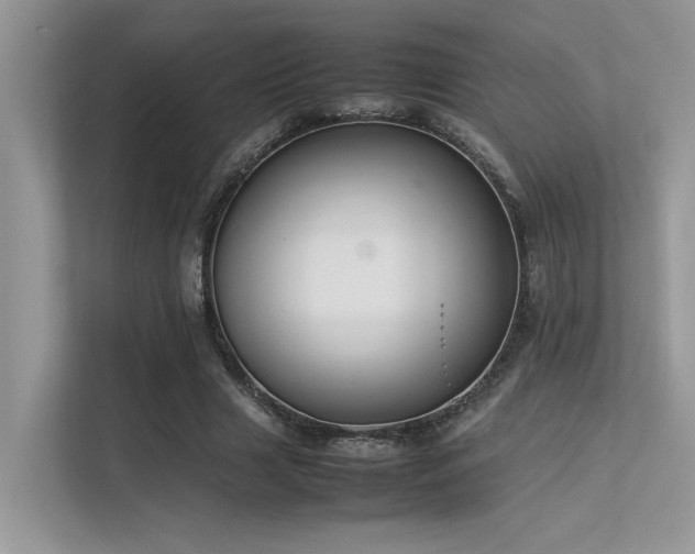 X0000113370633200909151400