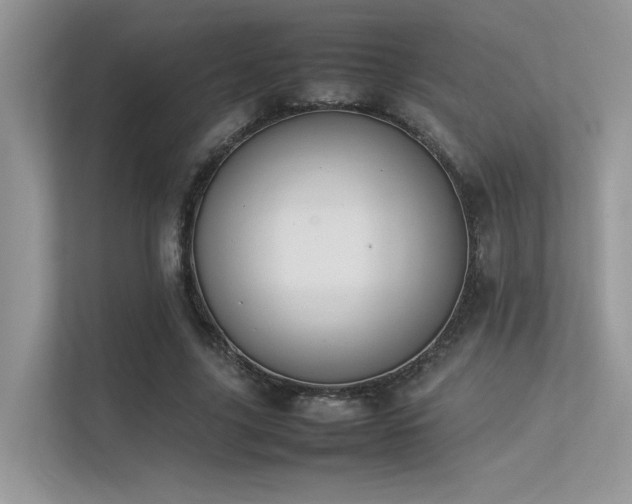 X0000113370635200909151400