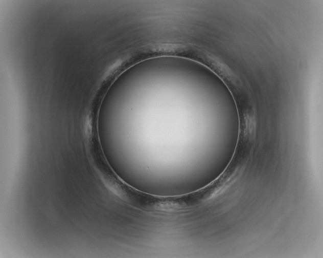 X0000113370636200909151400