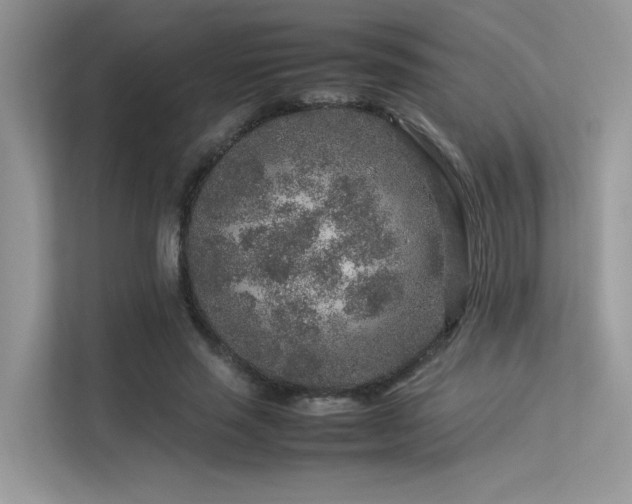 X0000113370637200909151400