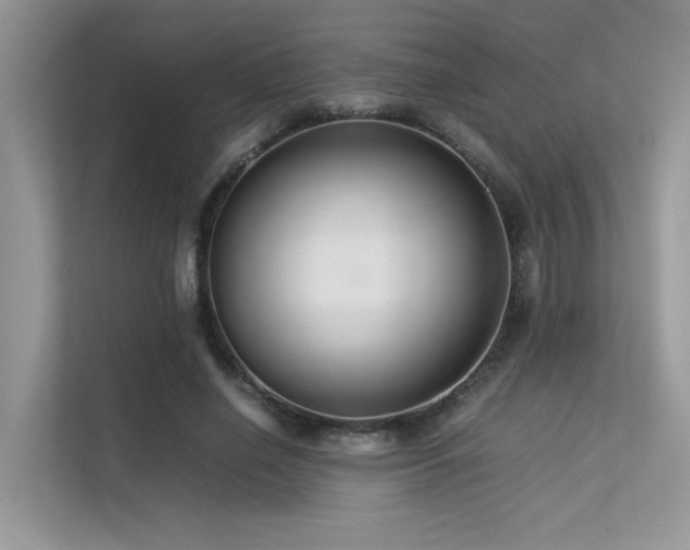 X0000113370638200909151400