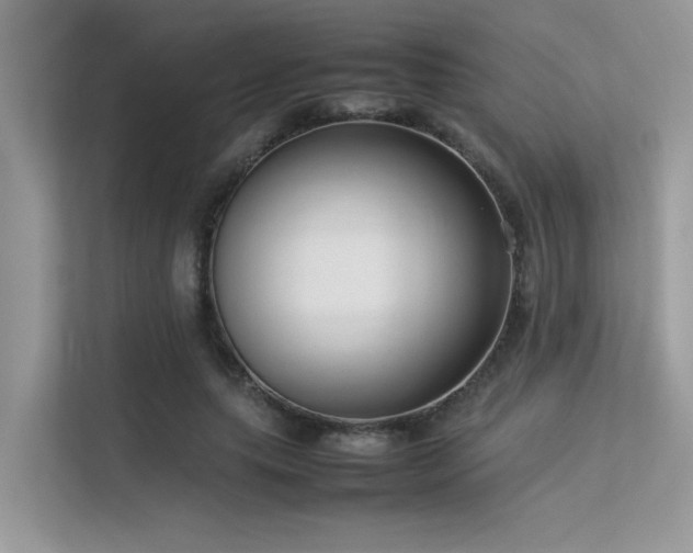 X0000113370639200909151400