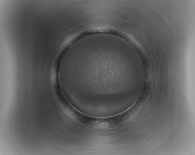 X0000113370640200909151400