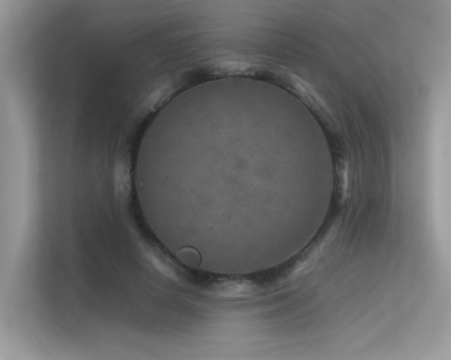 X0000113370642200909151400