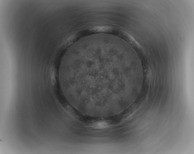X0000113370643200909151400