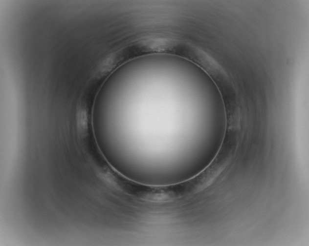 X0000113370646200909151400