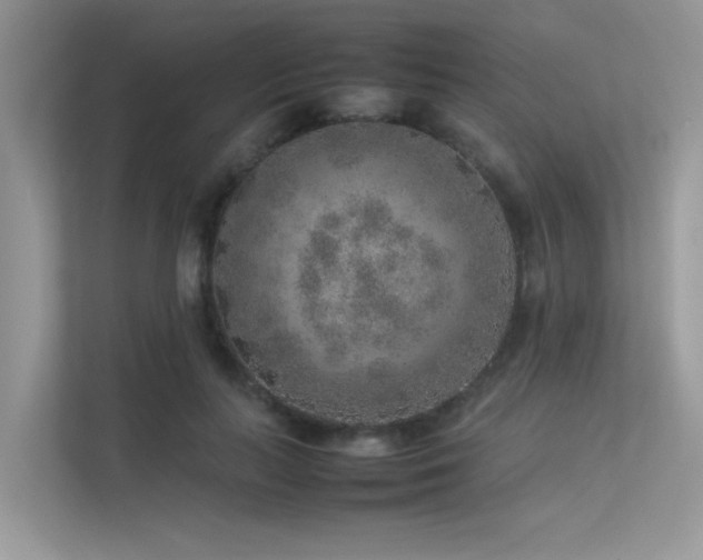X0000113370647200909151400