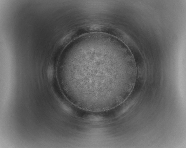 X0000113370648200909151400