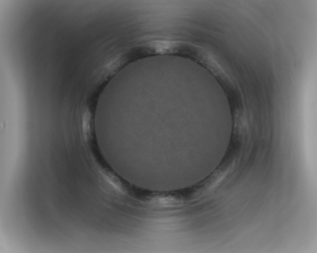 X0000113370650200909151400