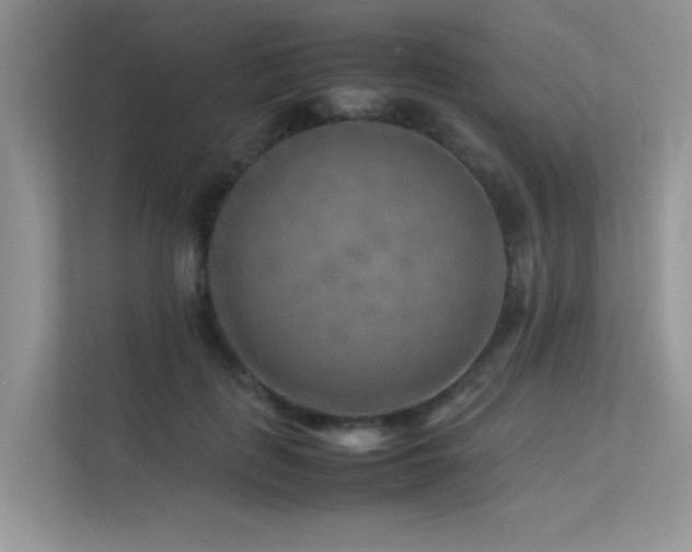 X0000113370651200909151400