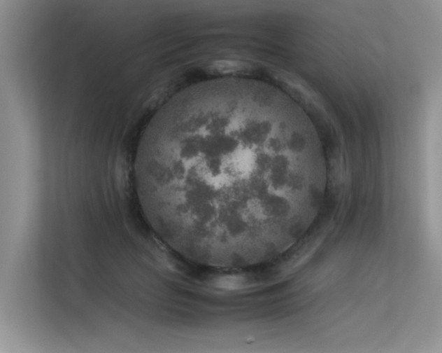 X0000113370653200909151401