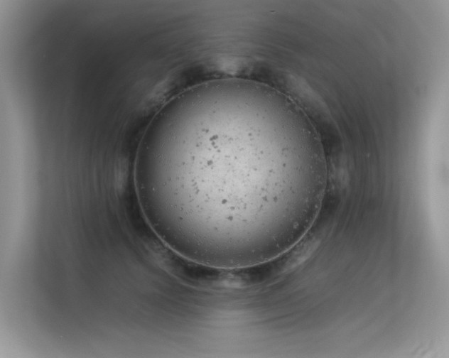 X0000113370656200909151401
