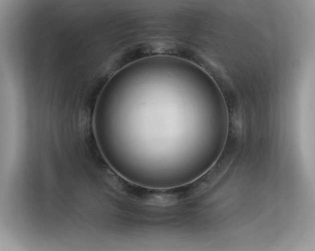X0000113370657200909151401