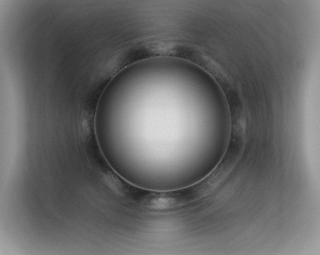 X0000113370658200909151401