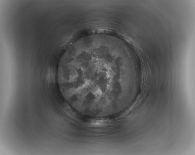 X0000113370661200909151401