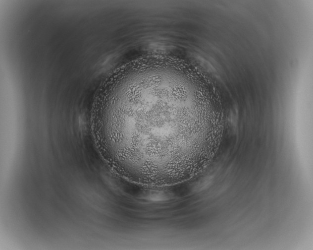 X0000113370663200909151401