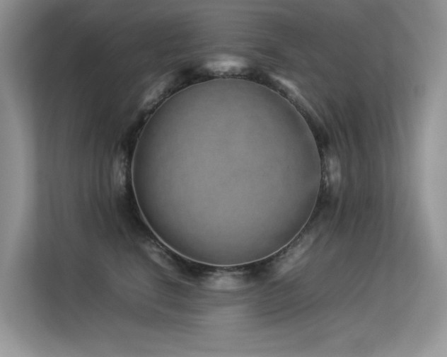 X0000113370664200909151401