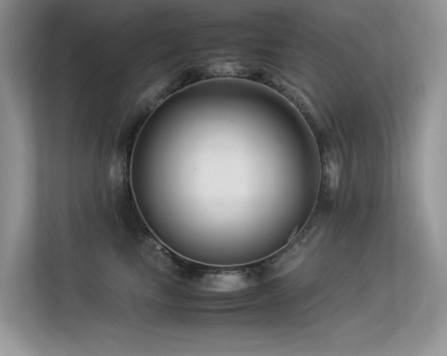 X0000113370665200909151401