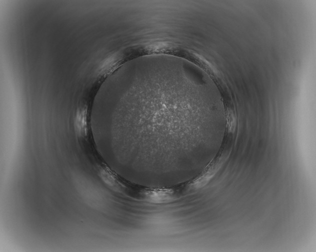 X0000113370670200909151401