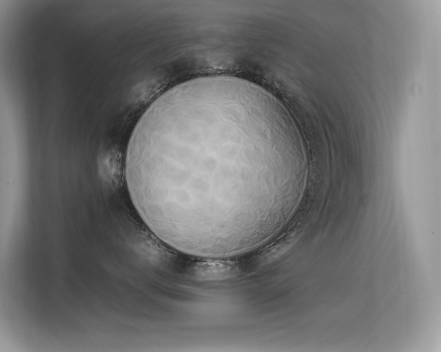 X0000113370672200909151401