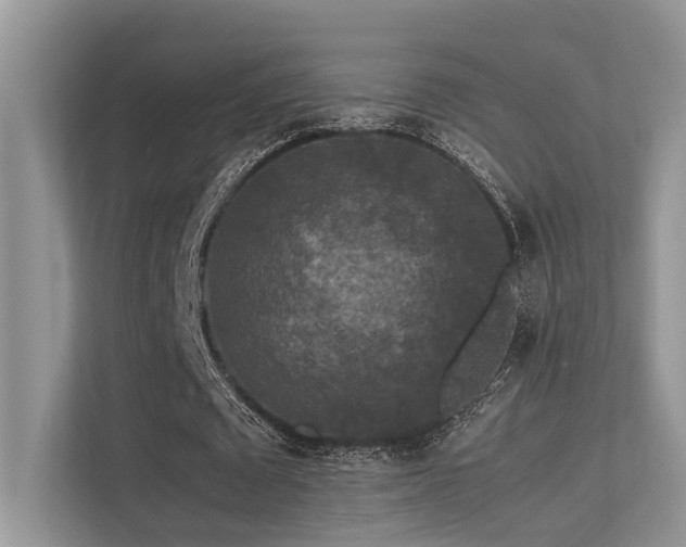 X0000113370673200909151400