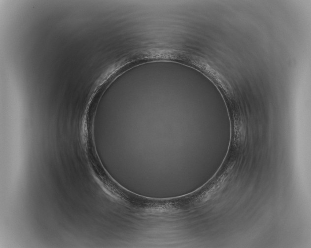 X0000113370674200909151400