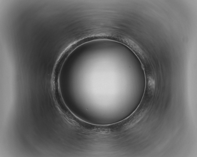 X0000113370676200909151400