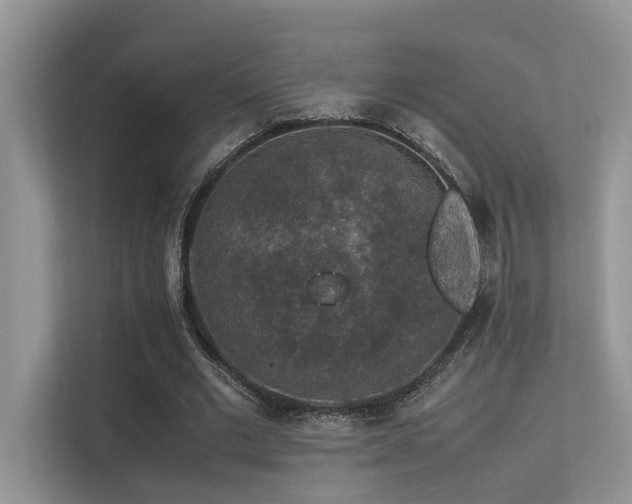 X0000113370677200909151400
