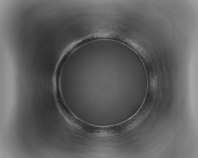 X0000113370678200909151400