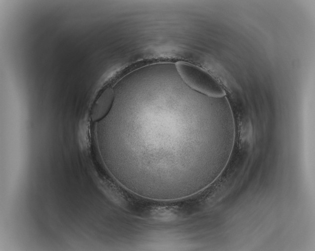 X0000113370680200909151400